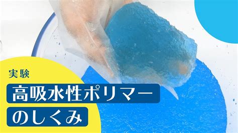 吸水|吸水(キュウスイ)とは？ 意味や使い方